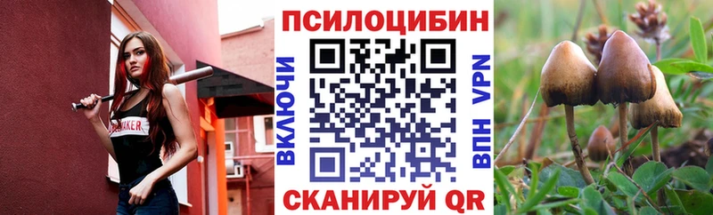 shop состав  закладка  Богданович  Псилоцибиновые грибы мицелий 
