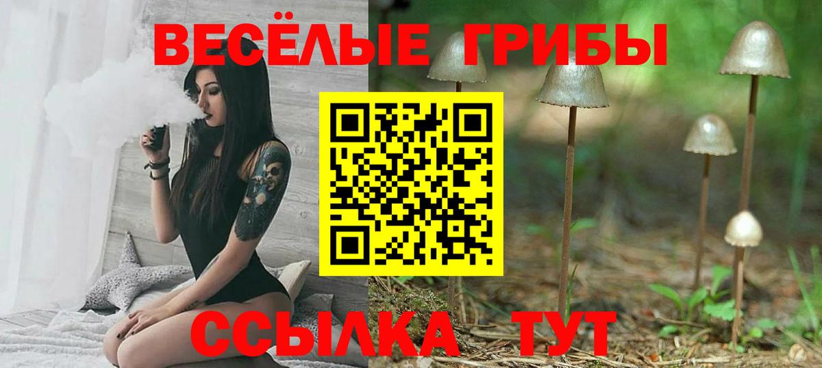 Галлюциногенные грибы мухоморы  Вход с VPN  Богданович 