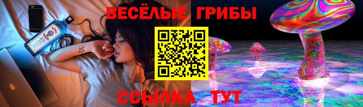 Псилоцибиновые грибы прущие грибы Богданович